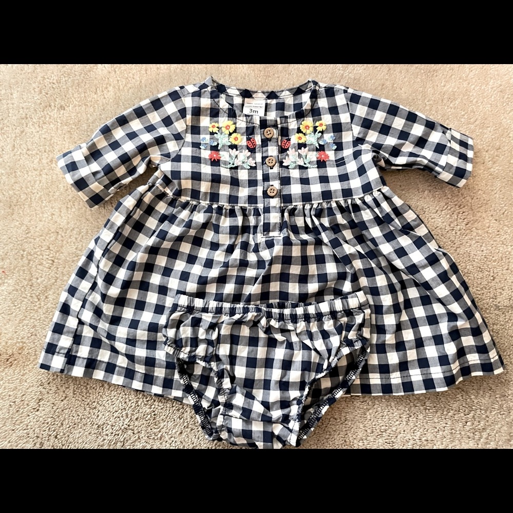 Carter’s Gingham Dress with Floral Embroidery NWOT